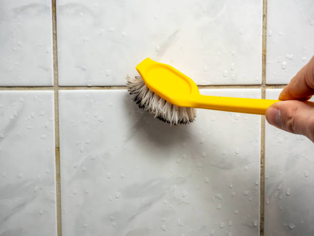 Best Preventive Mold Services in Mountain Lakes, NJ