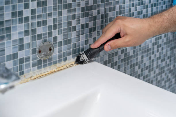 Best Localized Mold Remediation (e.g., coastal areas, humid climates) in Mountain Lakes, NJ